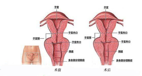 2023蘇州面部綜合管理十大專家口碑排名(孫瀾、魏國祥、宋茂芹口碑推薦人氣高)