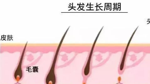 徐州市中心醫(yī)院整形美容科的醫(yī)生介紹及鼻子手術(shù)費(fèi)用如何？