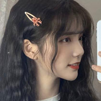 孟慶緒