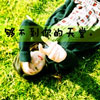 曲津逸
