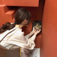 虞旭然