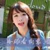 向雪飛