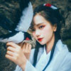 徐發(fā)給