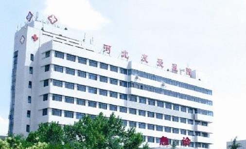 河北友愛(ài)醫(yī)院整形美容科 河北友愛(ài)醫(yī)院整形美容科