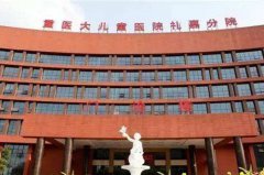 重慶醫(yī)科大學附屬兒童醫(yī)院 重慶醫(yī)科大學附屬兒童醫(yī)院