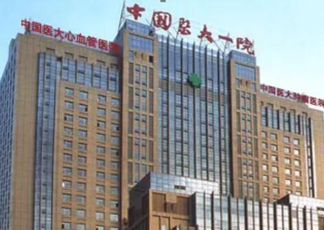 中國(guó)醫(yī)大第一醫(yī)院 中國(guó)醫(yī)大第一醫(yī)院