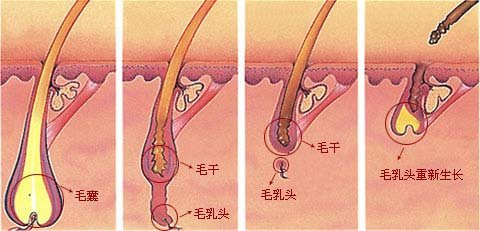 杭州最受歡迎的整形醫(yī)院盤(pán)點(diǎn)：維多利亞第一，華研、美立方在榜！