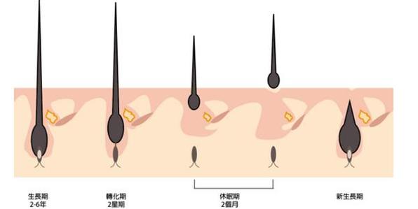 南京顱面部外傷骨折修復(fù)整形醫(yī)院口碑好的有哪些？2023南京顱面部外傷骨折修復(fù)醫(yī)療整形醫(yī)院排行榜TOP10年終