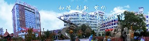 喀什地區(qū)第一人民醫(yī)院硅膠墊下巴價(jià)格如何？效果如何？