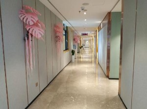 保定藍山醫(yī)療美容醫(yī)院做開眼角怎么樣？