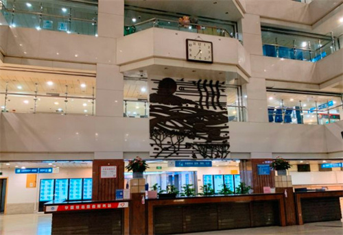 浙江大學醫(yī)學院附屬第二醫(yī)院整形科_醫(yī)院中心