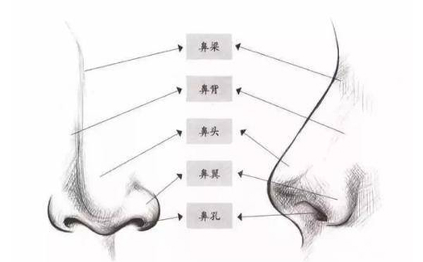 箭鼻矯正須知【成因、適宜人群、禁忌癥、手術(shù)原理、術(shù)前準(zhǔn)備、手術(shù)時(shí)間、恢復(fù)期】
